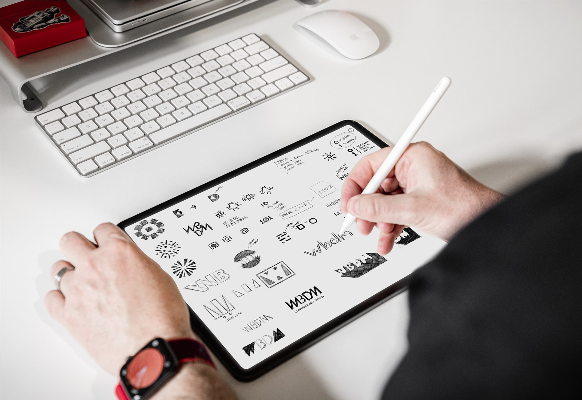 WBDM Digital Platform and Technical Interface